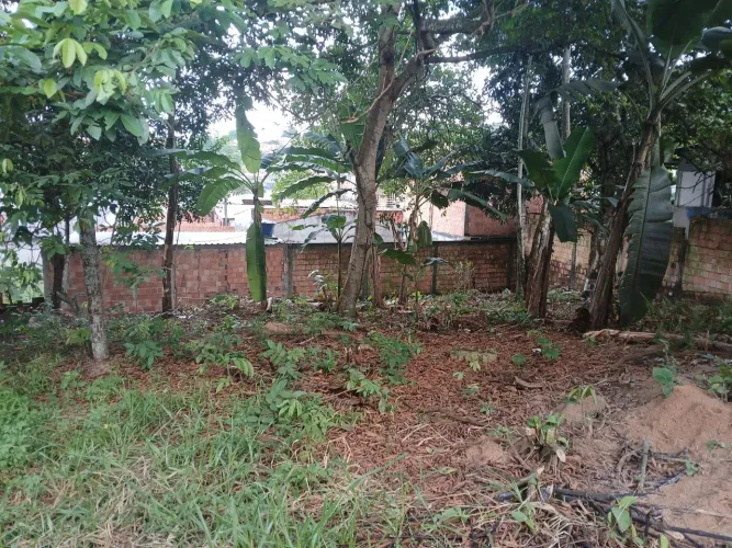 Terreno/vendo ou troca por carro 