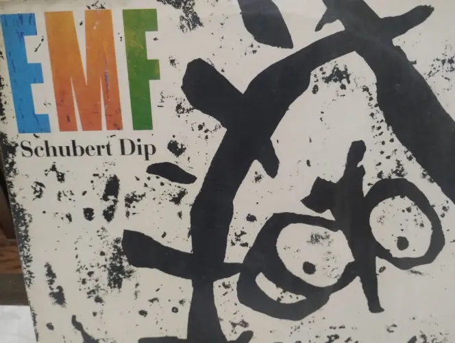 EMF DISCOS VINIL ROCK