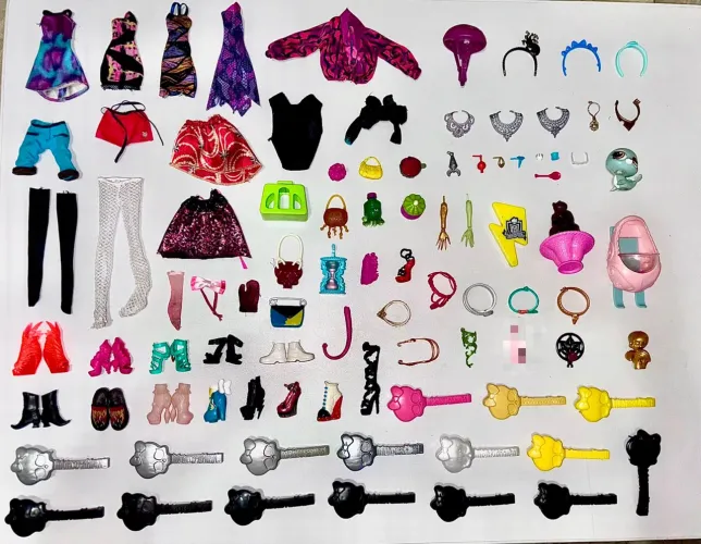 Lote de roupas, sapatos e acessórios - Monster High