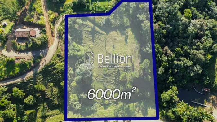 Sítio com Ribeirão e 6.000m² em Benedito Novo  Ideal para Chalés ou Moradia!
