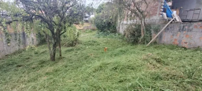 terreno a venda - bairro alto - zr2 - estuda permuta por imovel pronto ou veiculo
