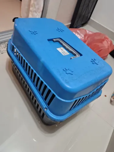 Caixa de transporte para cachorro e banheiro