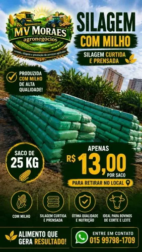 Silagem com milho ensacada