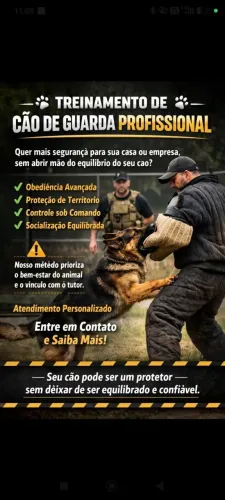 Adestramento cão de guarda 