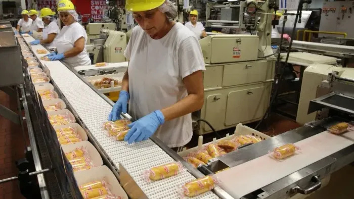 Trabalho de Graça como auxiliar de produção