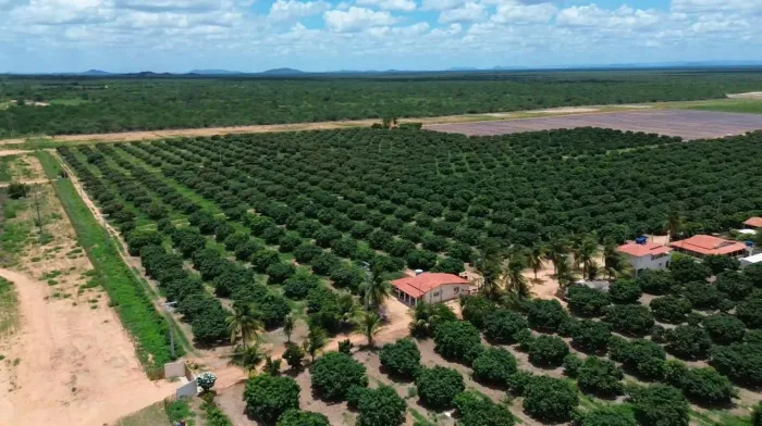ÁREA À VENDA NA ESTRADA DA ADUTORA.