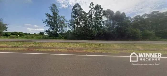 Área à venda, 20000 m² por R$ 1.000.000,00 - Doutor Camargo - Doutor Camargo/PR
