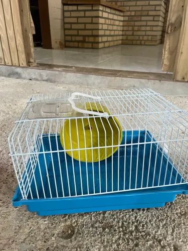Gaiola de hamster e rato