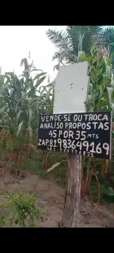 Sítio várzea das cobras