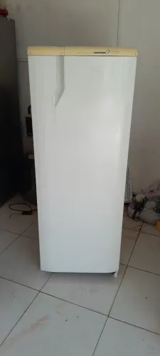 Geladeira Electrolux frost free entrega grátis