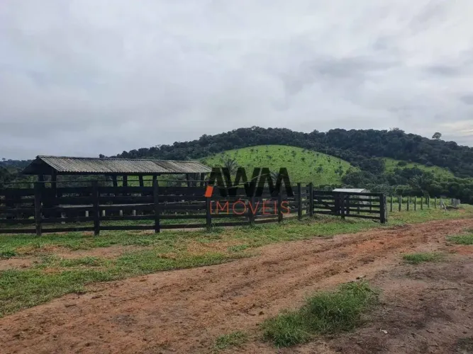 Fazenda à venda, 114830000 m² por R$ 35.000.000,00 - Aeroporto Velho - Itaituba/PA