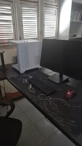 PC gamer