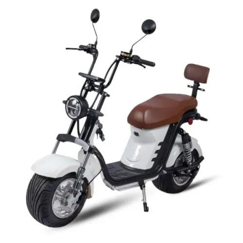 MOTO ELETRICA X13 1000W