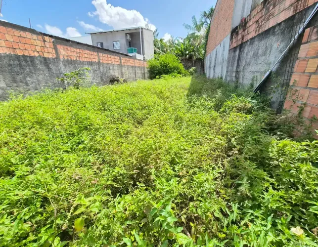 NOVO ALEIXO, Terreno