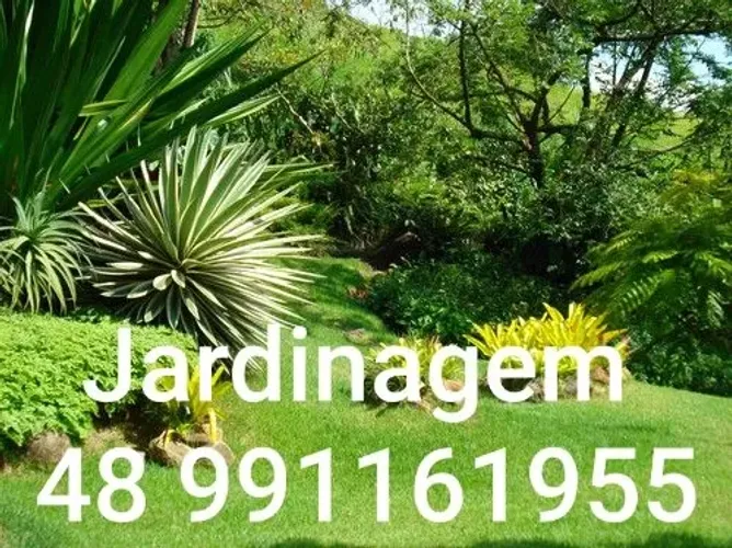 Jardineiro