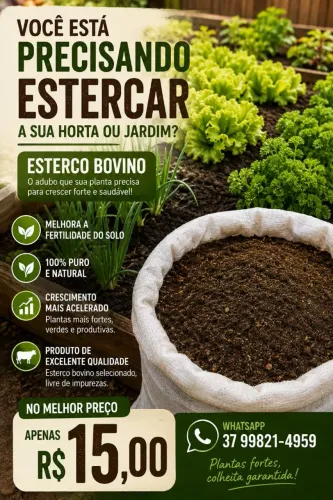 Esterco bovino curtido