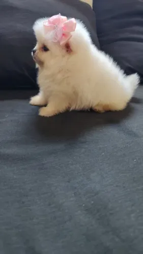 Luluzinha Anã um chaveirinho