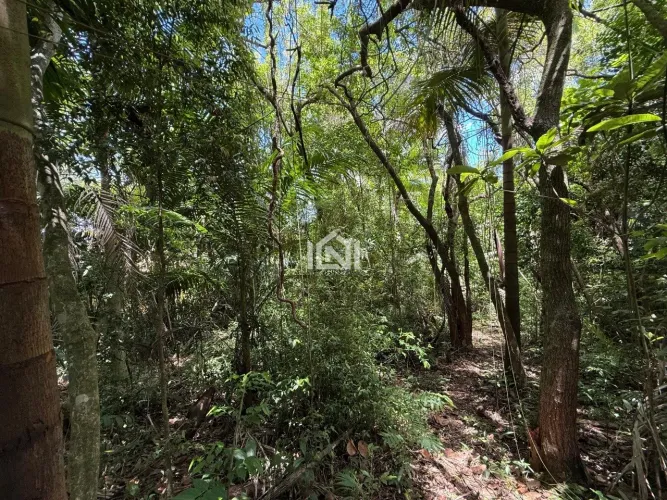 Terreno à venda no Condomínio Paisagem Renoir II e III