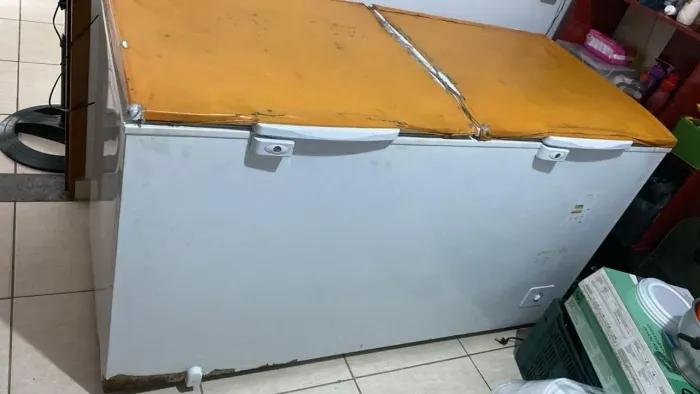 Freezer Horizontal