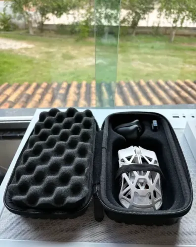 Mouse Wlmouse beast x mini pro
