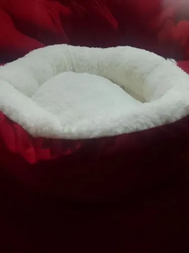 Cama para pet