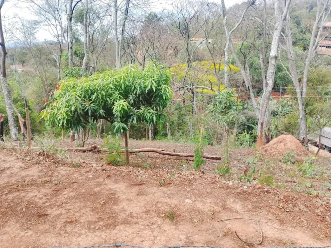 Terreno 1.000 metros no trevo de Caeté acesso com asfalto