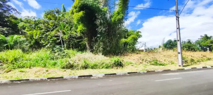 Vendo Lote na Fazenda Real com 700 m² com parte plana e APP 2ª Etapa (SM)