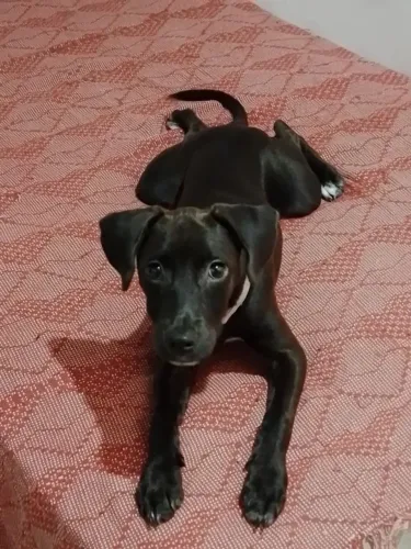 Doação 