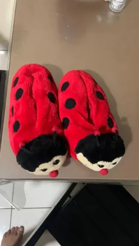 Pantufa Joaninha 38/39