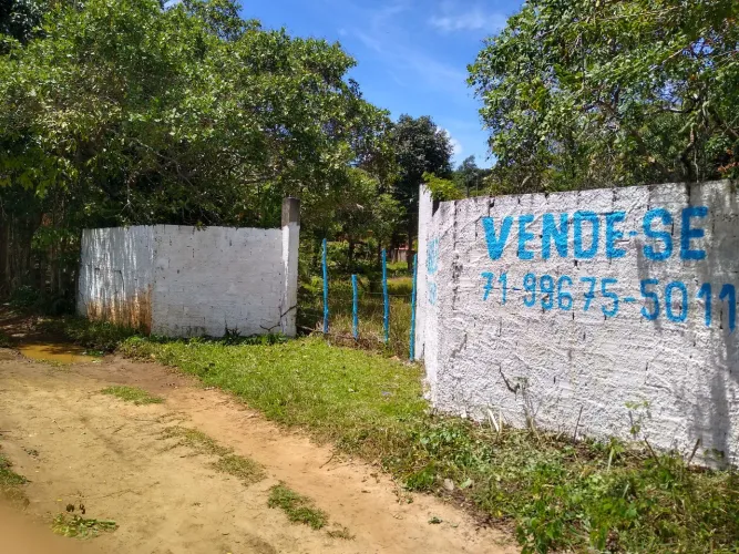 Lote na estrada do coco