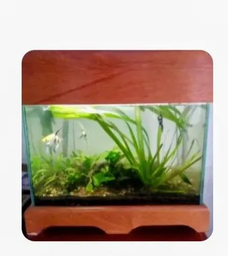 Aquário 40 litros