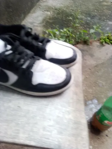 Tênis Nike SB Dunk Low Pro 39