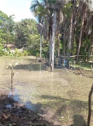 Terreno Barreira 4.942,05 m2, com banho, poço, etc?