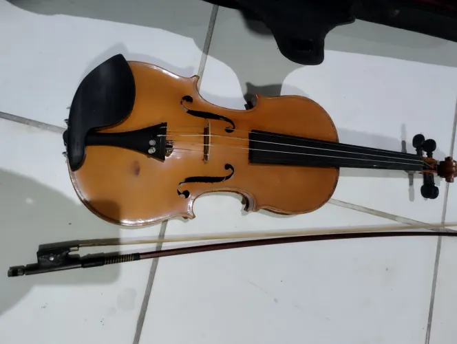 Violino