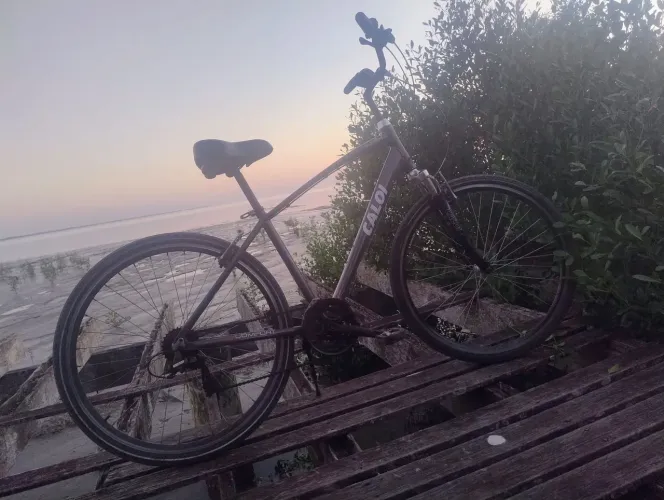 Bicicleta Caloi 700 aro 29