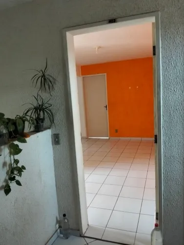 Rua doutor Mário negócio santa Teresa Parnamirim 