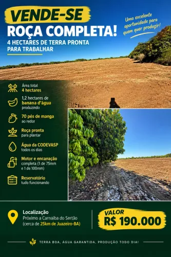 VENDE-SE ROÇA COMPLETA - 4 HECTARES EM CARNAÍBA DO SERTÃO