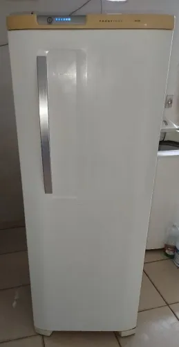 Linda Frost Free original de fábrica apenas 650 reais com entrega
