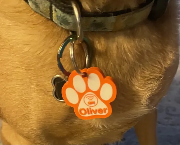 Tag NFC para pets impressa em 3D.