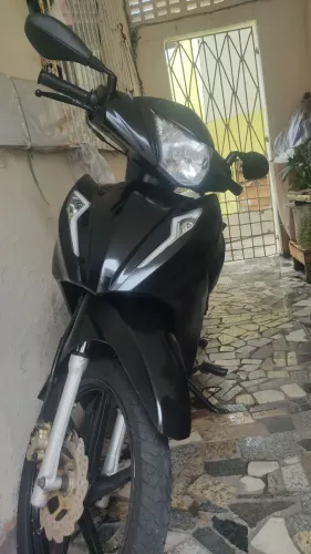 Cinquentinha avelloz 