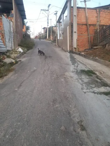 Vende-se ou Troca-se uma Casa!