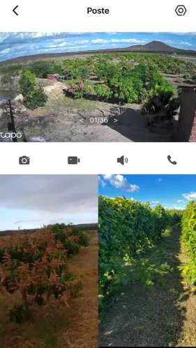 LOTE IRRIGADO NO PIVÔ 20 | CATALUNHA DA SERRA - SANTA MARIA DA BOA VISTA/PE