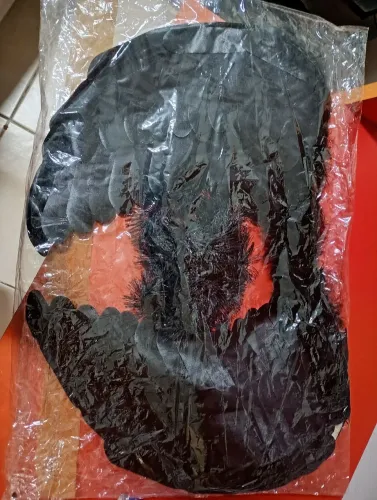 Fantasia Asa negra