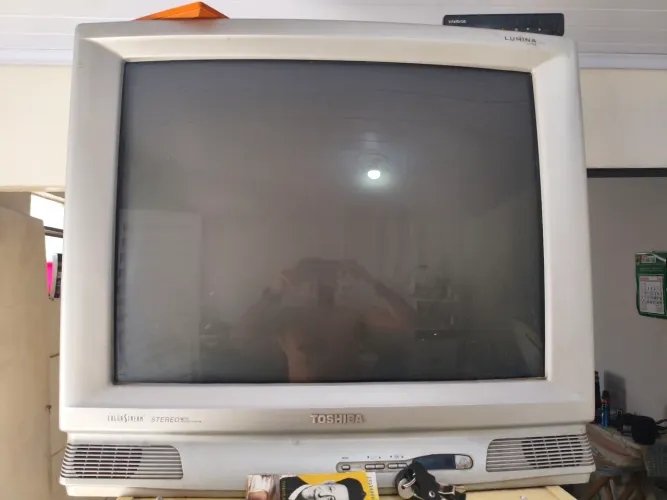 Televisão