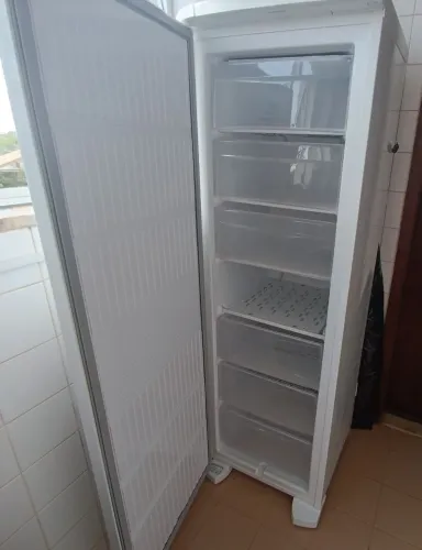 Freezer Vertical Electrolux 