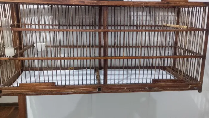 120,00 as duas pra vender rápido