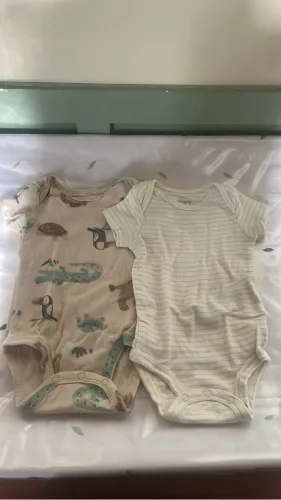 Body Carters