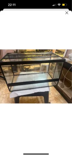 Terrários