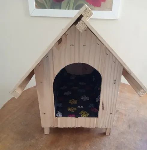 Casinha de cachorro NR 1