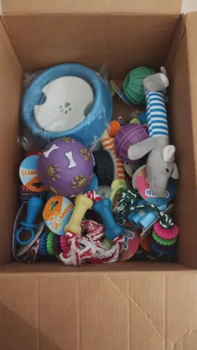 Lote de Produtos Pet Novos - Fechamento de Loja